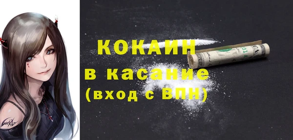 индика Горно-Алтайск