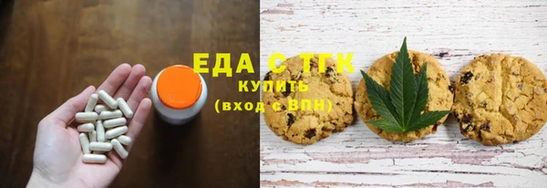 индика Горно-Алтайск
