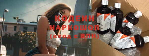 индика Горно-Алтайск