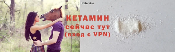 индика Горно-Алтайск