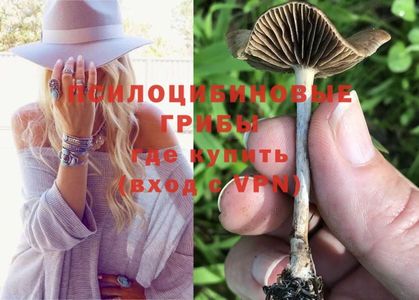 кокаин VHQ Горнозаводск