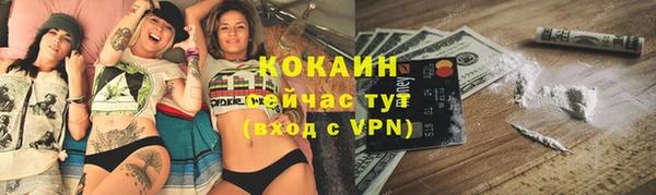 индика Горно-Алтайск